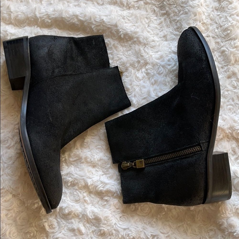 Elliot Lucca booties
